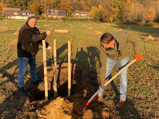 Wir pflanzen den ersten Baum